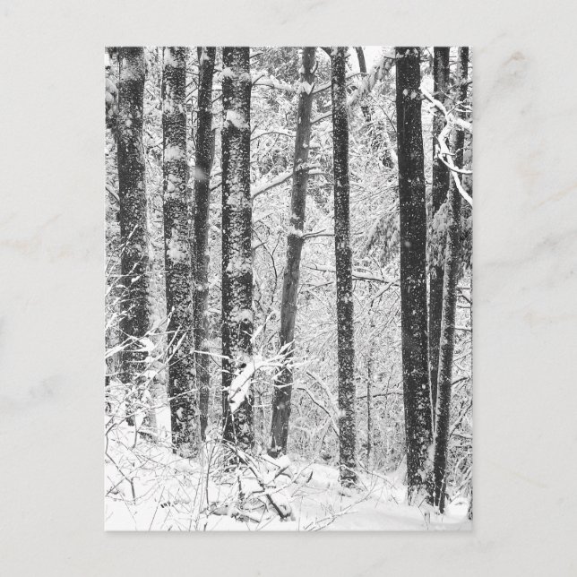 Postal Nieve de invierno (Anverso)