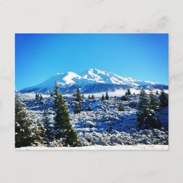 Postal Nieve de invierno en el Monte Shasta, CA (Anverso)