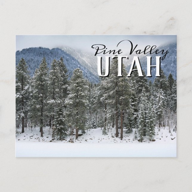 Postal Nieve de invierno en Pine Valley Utah (Anverso)