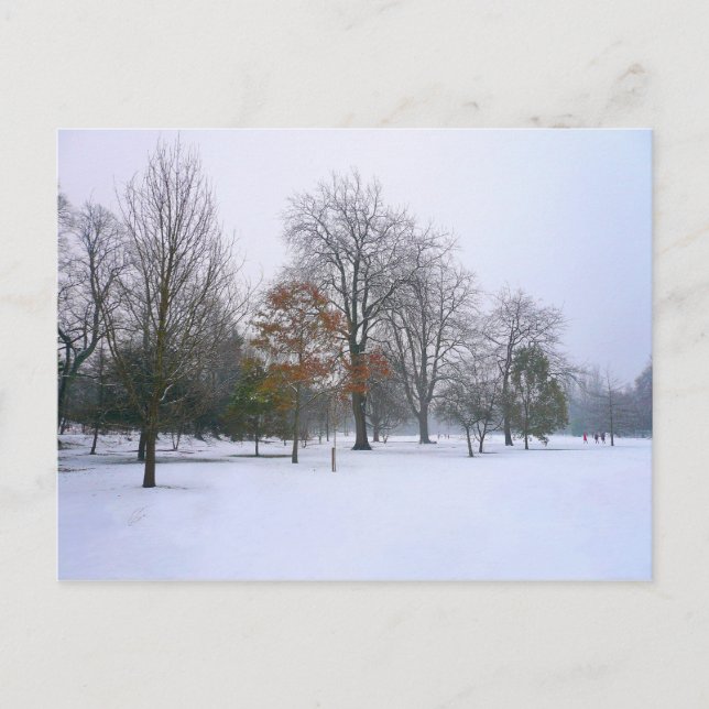 Postal Nieve de invierno, Parque Bute, Cardiff, Gales (Anverso)