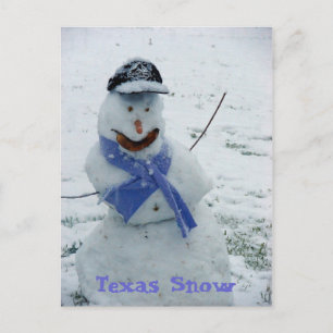 Postal Nieve de Texas
