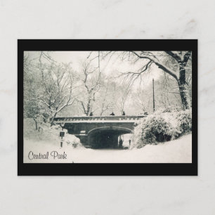 Postal nieve del parque central