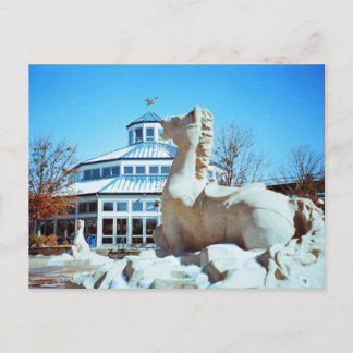 Postal Nieve en Coolidge