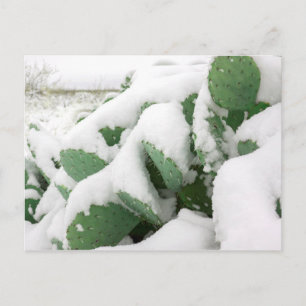 Postal Nieve en el desierto