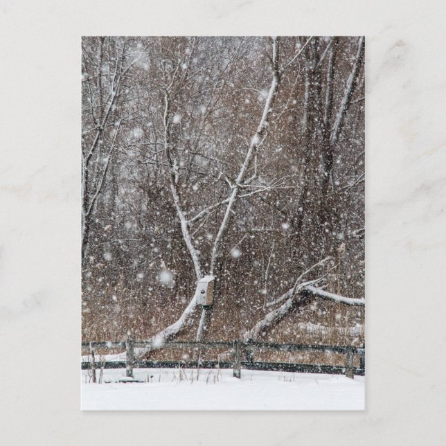 Postal Nieve en el parque (Anverso)