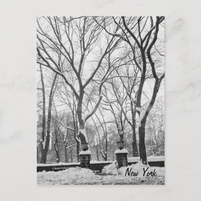 Postal Nieve en Nueva York (Anverso)