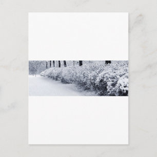 Postal Nieve en Suecia
