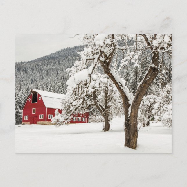 Postal Nieve fresca sobre granero rojo (Anverso)