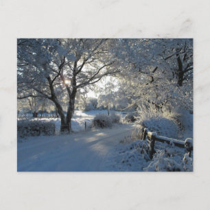 Postal Nieve invernal
