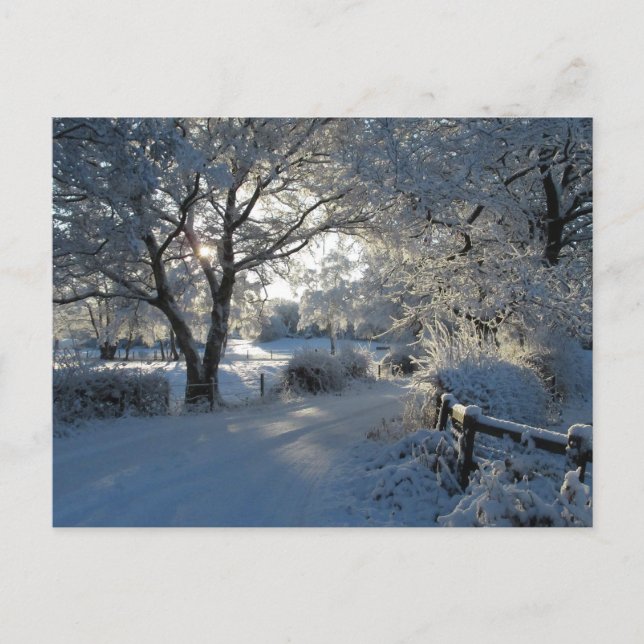 Postal Nieve invernal (Anverso)