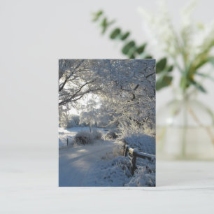 Postal Nieve invernal