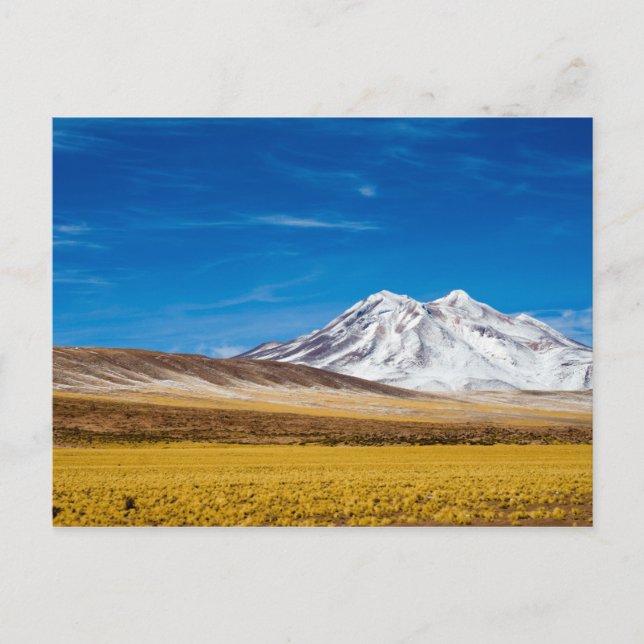 Postal Nieve - Montañas Con Capas Y Pastizales De Puna (Anverso)