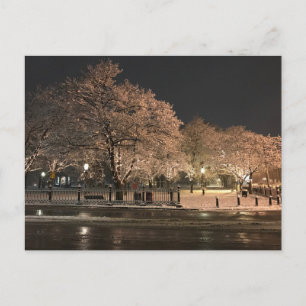 Postal Nieve Nocturna Salem Common Massachusetts Foto