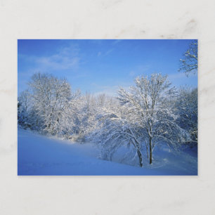 Postal Nieve récord en Louisville, Kentucky.
