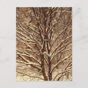 Postal Nieve Sepia