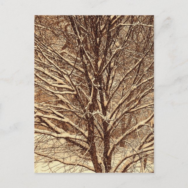 Postal Nieve Sepia (Anverso)