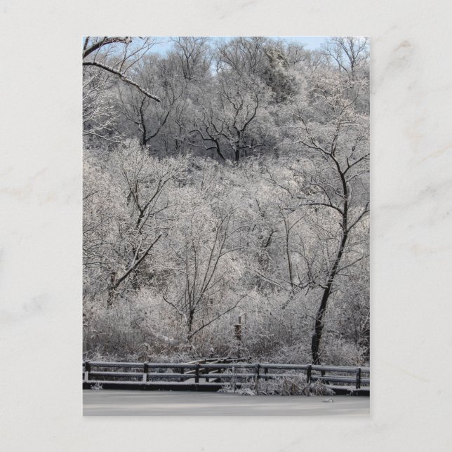 Postal Nieve Sobre El Estanque (Anverso)