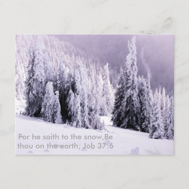 Postal Nieve y verso biblial (Anverso)