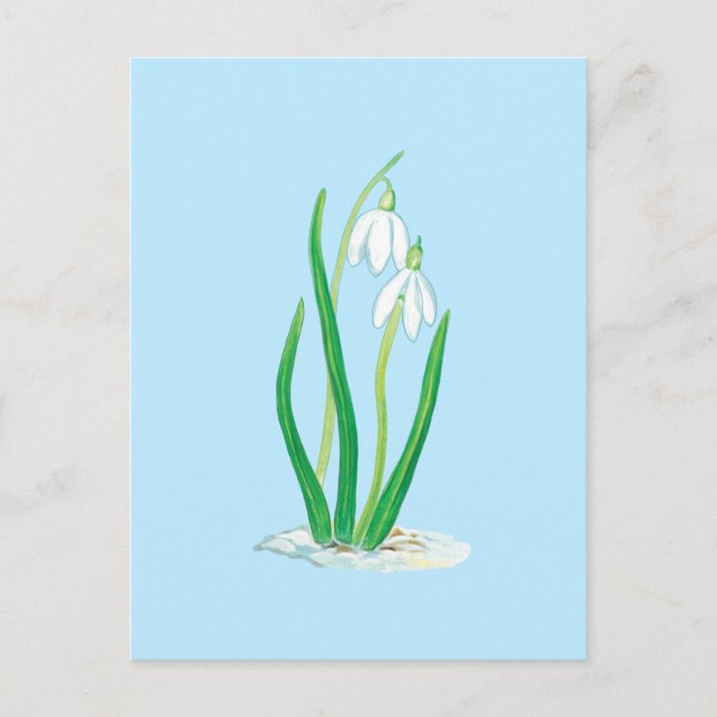 Postal Nieves (Galanthus nivalis) Flores de Primavera Tem (Anverso)