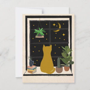 Postal Nighttime Kitty