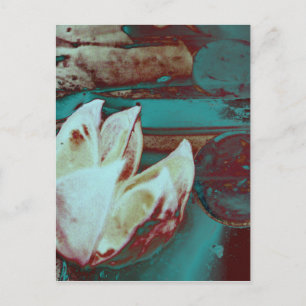 Postal Nilo de agua artificial en rojo y azul