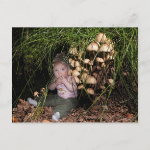 Postal Niña exploradora al hongo de árbol