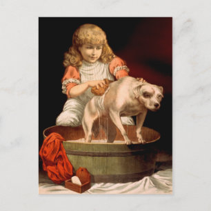 Postal Niña pequeña bañando a su perro
