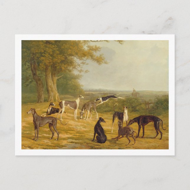 Postal Nine Greyhounds in a Landscape (oil on canvas) (Anverso)