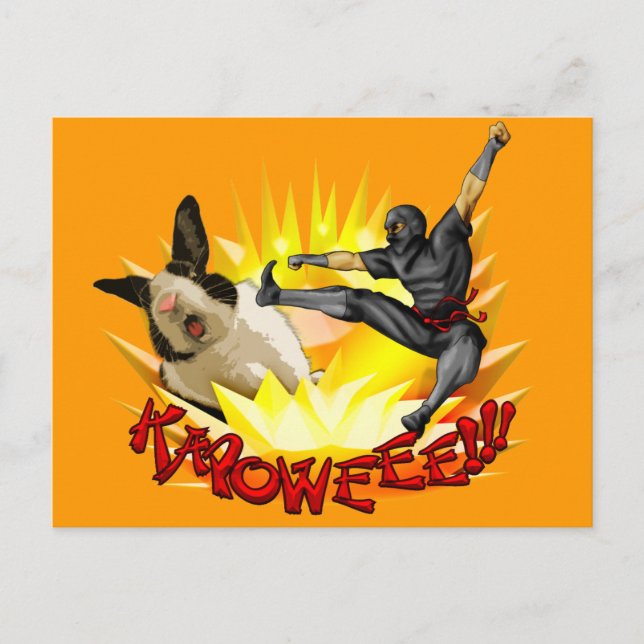 Postal Ninja vs. Bunny Postcard (?!?) (Anverso)