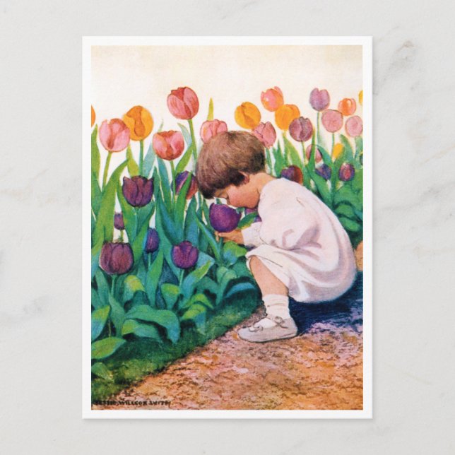 Postal Niño en el jardín de flores de Tulip, Jessie Willc (Anverso)