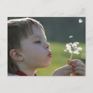 Postal Niño en la pradera de dandelion.