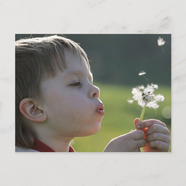 Postal Niño en la pradera de dandelion. (Anverso)