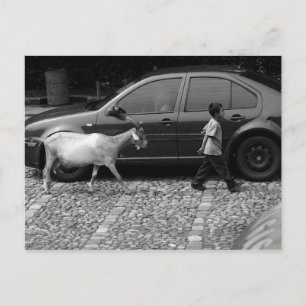 Postal Niño y cabra, La Antigua Guatemala