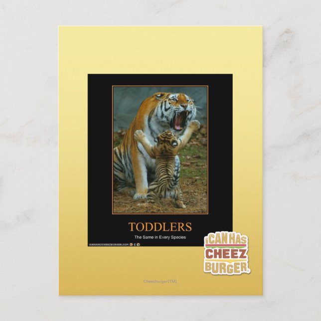 Postal Niños (Anverso)