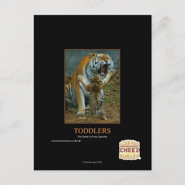 Postal Niños (Anverso)