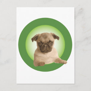 Postal NIZPRA Apparel