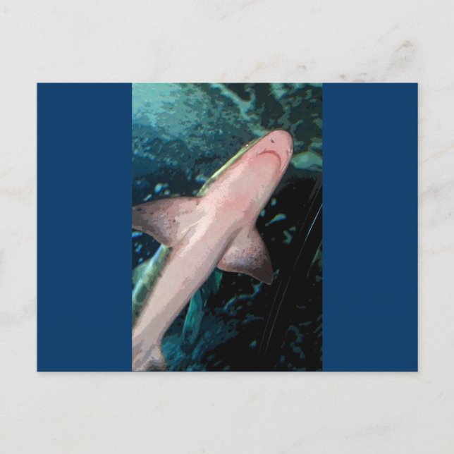 Postal NJ Shark CB (Anverso)