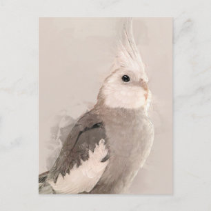 Postal No.9 de Cockatiel