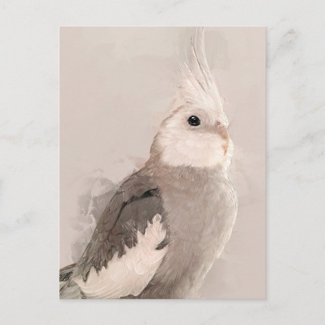 Postal No.9 de Cockatiel (Anverso)