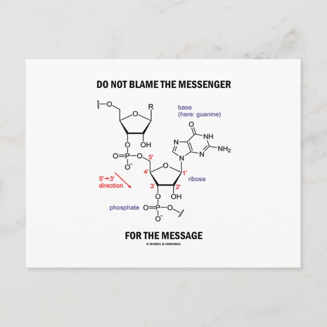 Postal No Culpar Al Mensajero Por El Mensaje (Anverso)