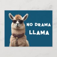 No Drama Llama Guay Alpaca Usa gafas de sol azules