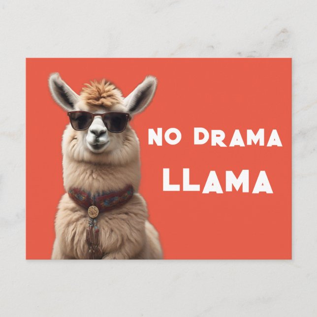 Postal No Drama Llama Guay Alpaca Usa Naranja de gafas de (Anverso)