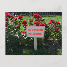 Postal No elijan las flores, San Petersburgo, Rusia