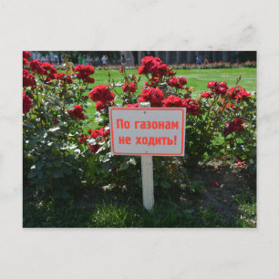 Postal No elijan las flores, San Petersburgo, Rusia