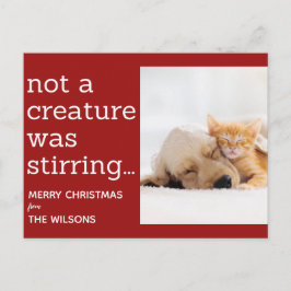 Postal no era una criatura que agitaba navidades de fotos