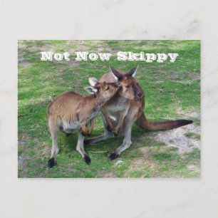 Postal No es ahora Skippy