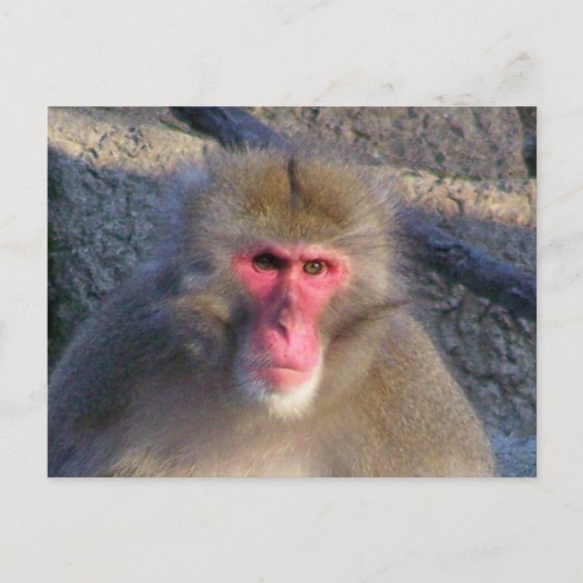 Postal No es divertido (Anverso)