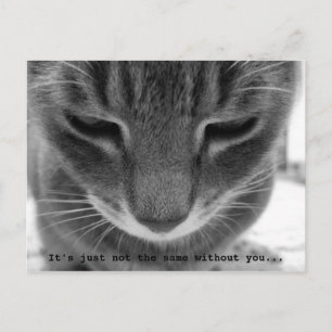 Postal No es lo mismo sin ti...