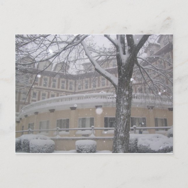 POSTAL NO ES MI DÍA PARA LA NIEVE. ¿¿¿¿¿NO ES ASÍ??? (Anverso)