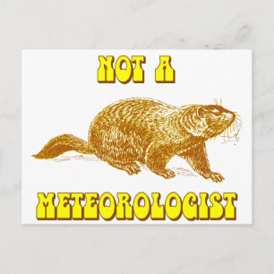 Postal No es un Groundhog Meteorólogo